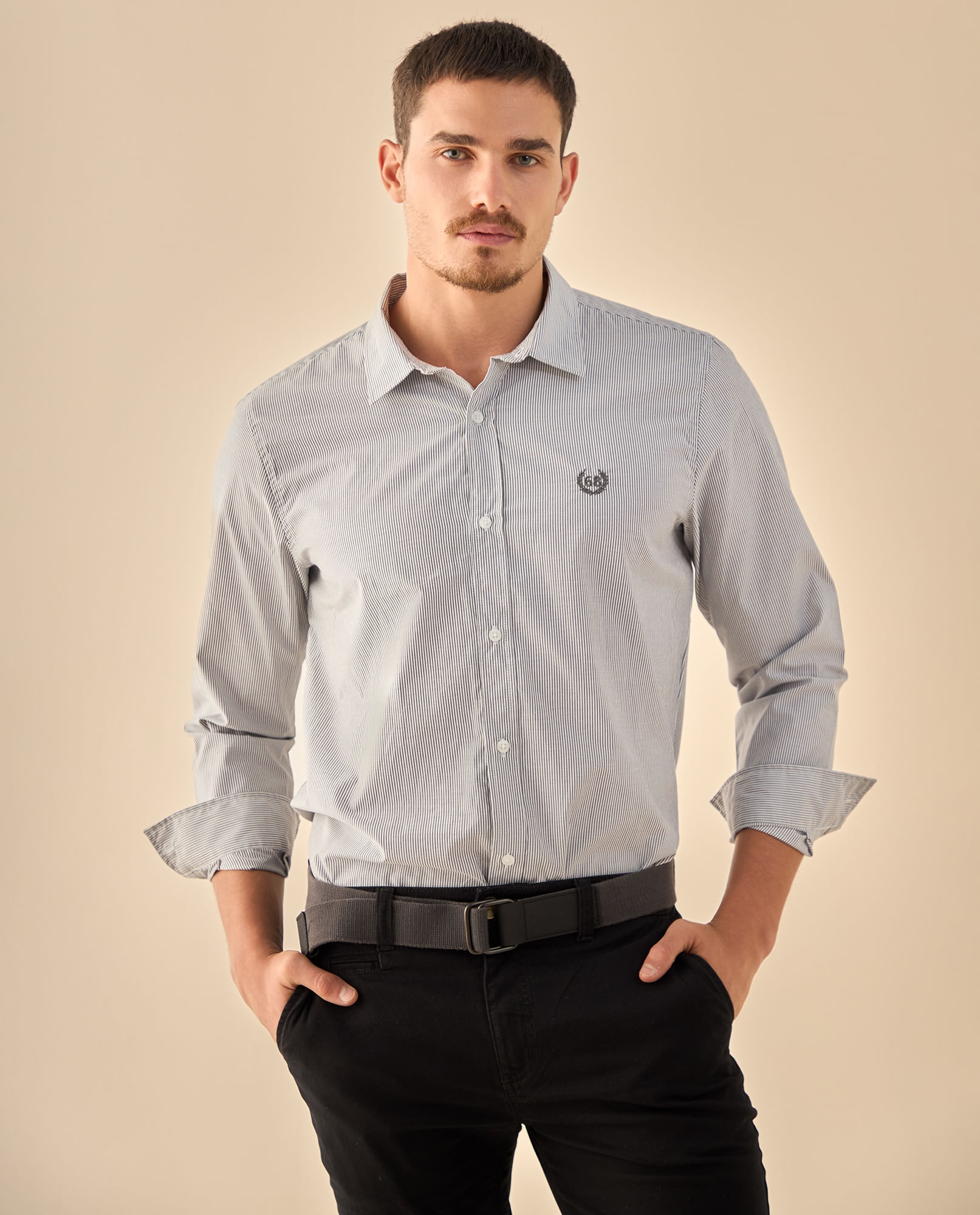 Camisa de Rayas Finas Profesional